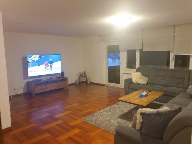 Apartment mieten in Ebikon, Lü