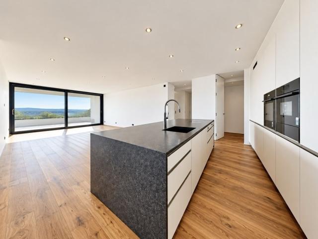 Apartment mieten in Egerkingen, Solothurn
