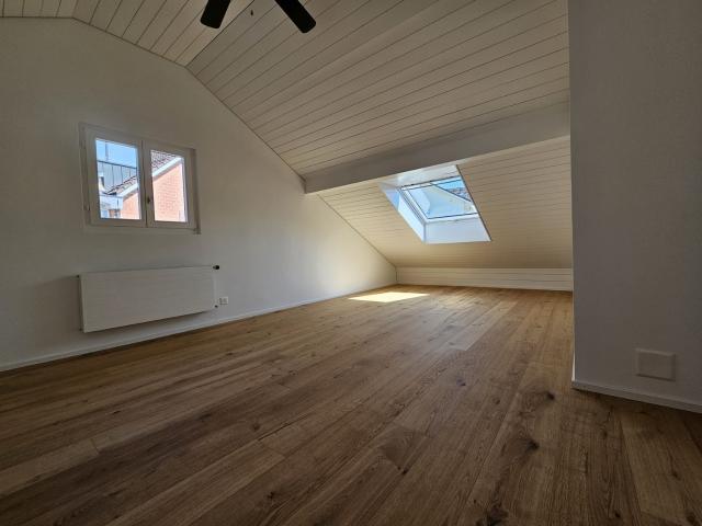 Apartment mieten in Hünenberg, Zug