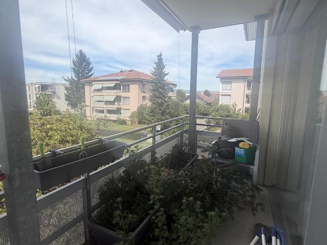 Apartment mieten in Kerzers, Seebezirk / District du Lac