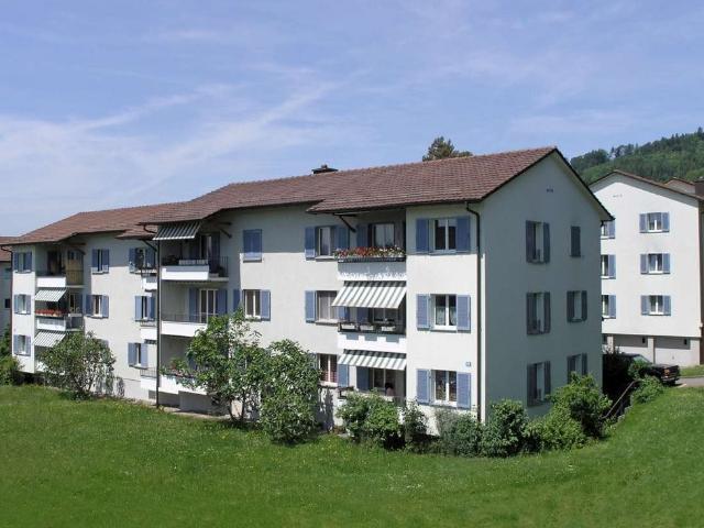 Apartment mieten in Unterengstringen, Bezirk Dietikon