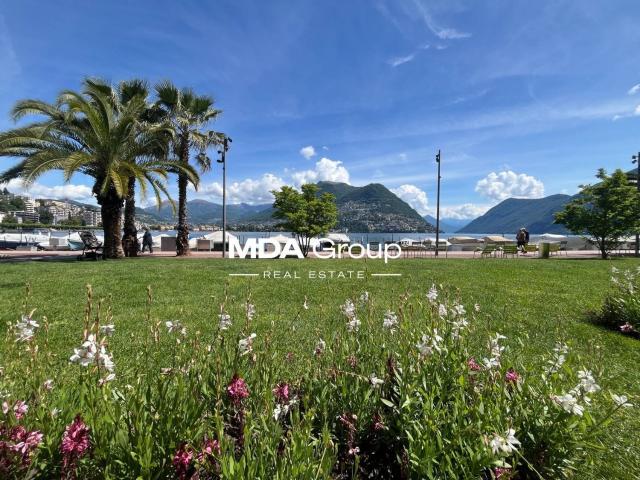 Apartment mieten in Paradiso, Tessin