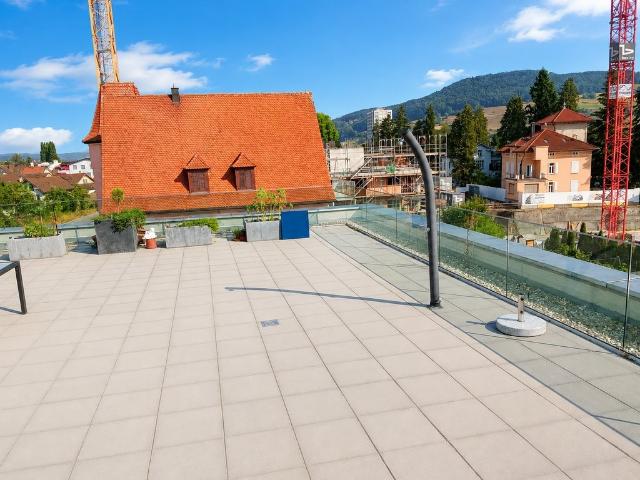 Apartment mieten in Reinach (AG), Aargau