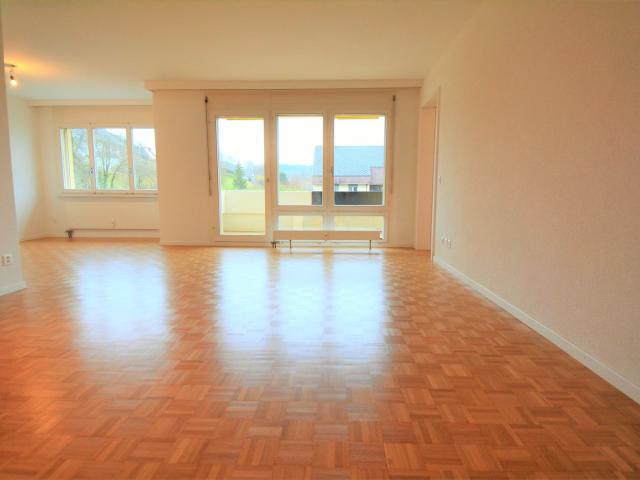Apartment mieten in Solothurn