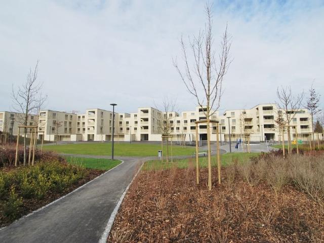 Apartment mieten in Staufen, Aargau