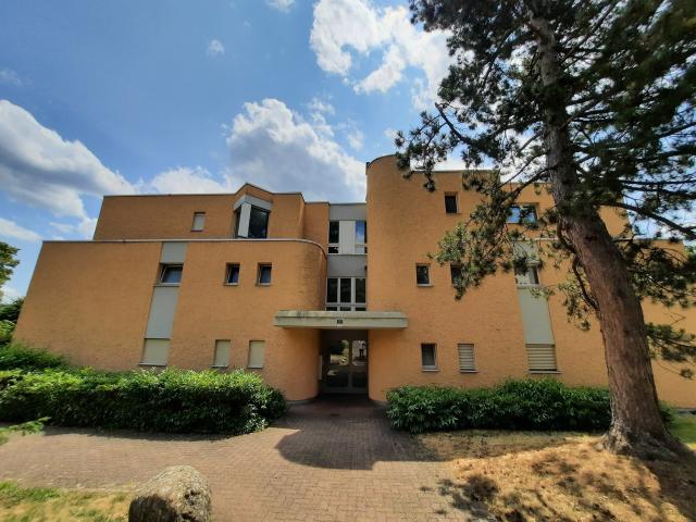 Apartment mieten in Unterengstringen, Zürich