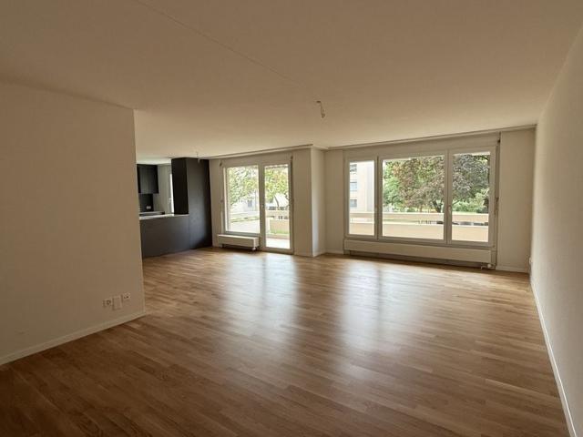 Apartment mieten in Riedikon, Uster