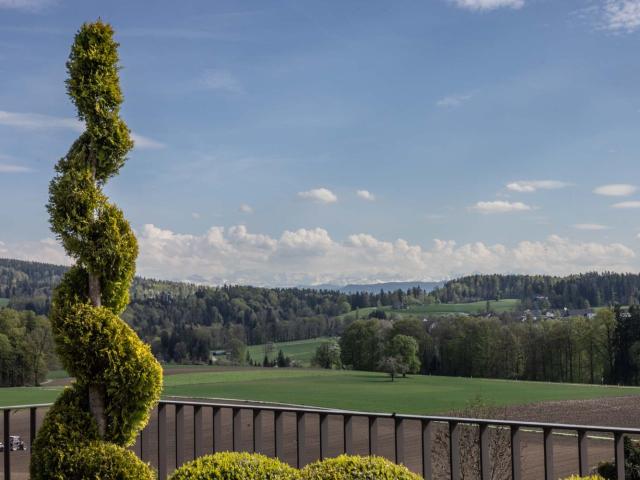 Apartment mieten in Maiacher, Zumikon
