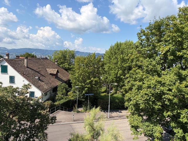 Apartment mieten in Einigen, Zürich