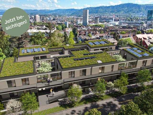 Apartment mieten in Einigen, Zürich