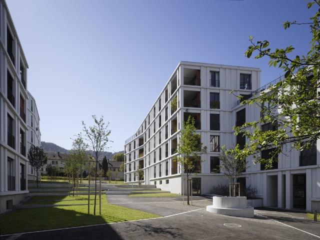 Apartment mieten in Einigen, Zürich