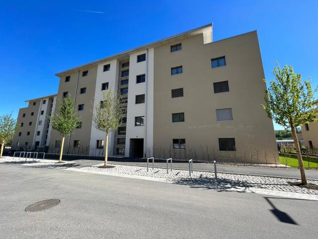 Apartment mieten in Zwingen, Basel-Landschaft