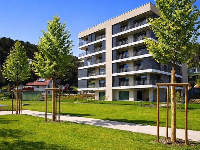 Apartment mieten in Zwingen, Basel-Landschaft