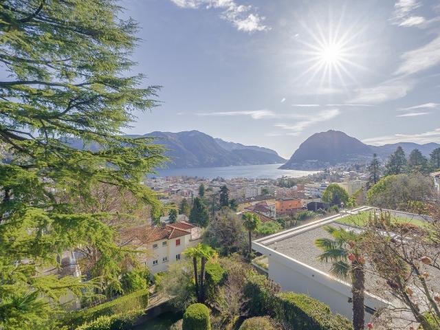 Apartment mieten in Massagno, Tessin