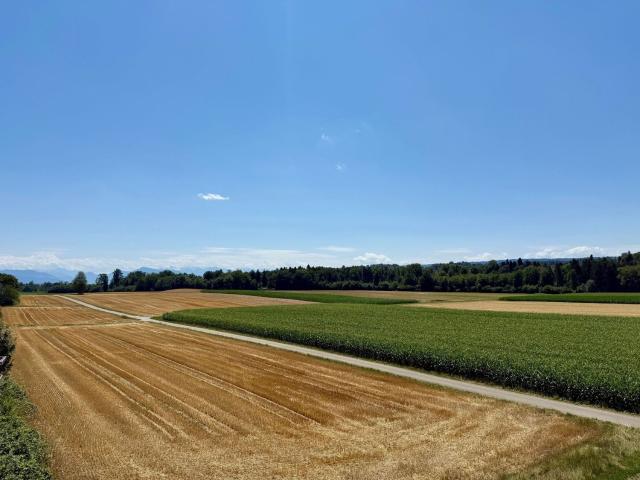 Apartment mieten in Zufikon, Aargau