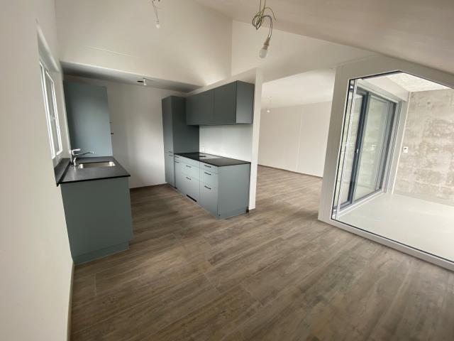 Apartment mieten in Oberriet (SG), St. Gallen
