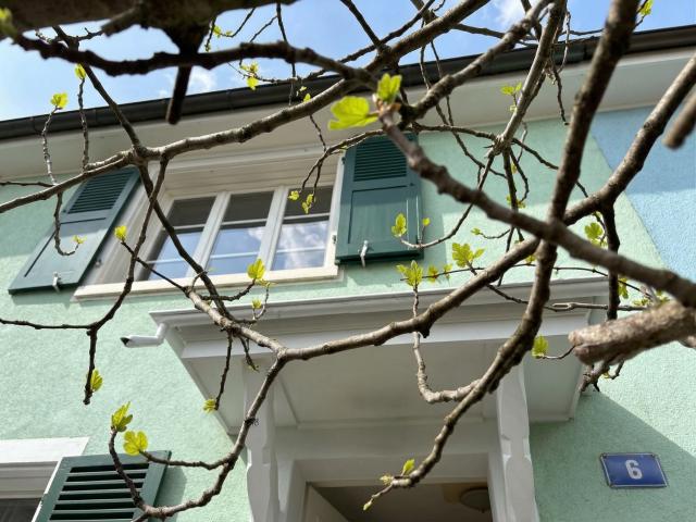 Haus mieten in Basel, Basel-Stadt