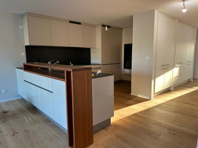 Apartment mieten in Einigen, Zürich