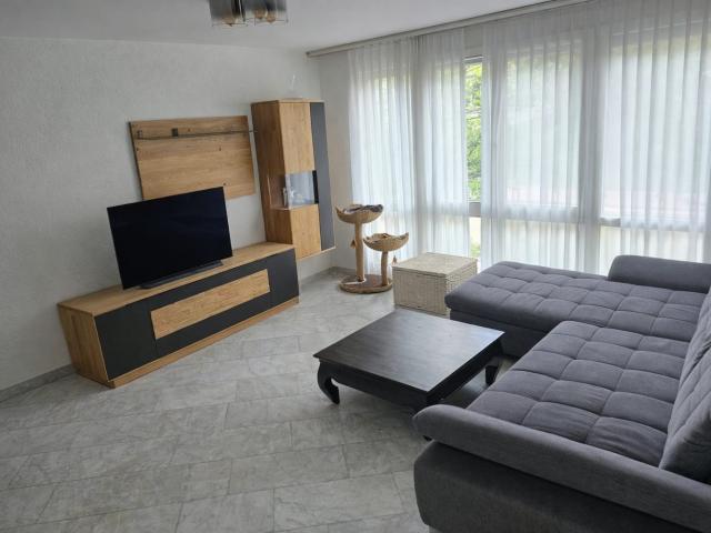 Haus mieten in Allschwil, Basel-Landschaft