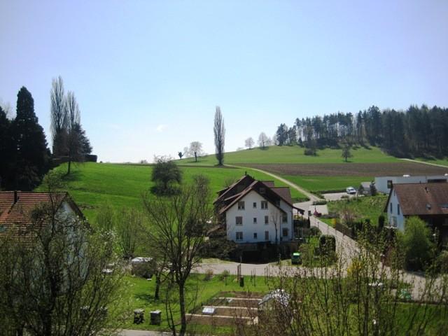Haus mieten in Boppelsen, Zürich