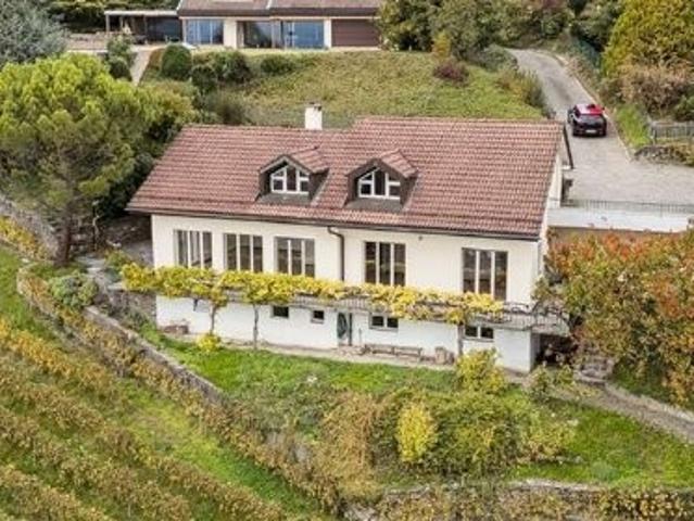 Haus mieten in Paudex, Waadt