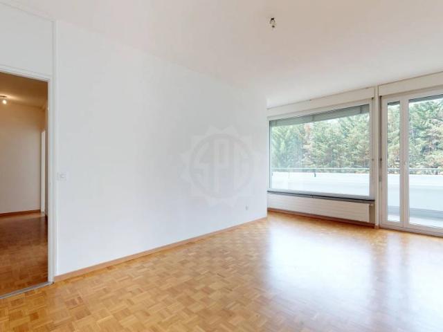 Apartment mieten in Le Petit-Saconnex, Genève