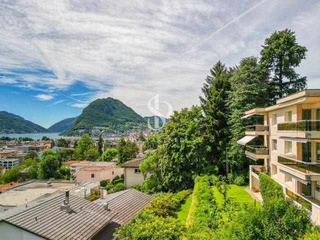 Apartment mieten in Molino Nuovo, Lugano