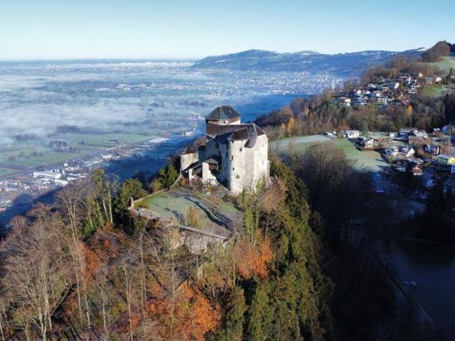Haus kaufen in Hohenems