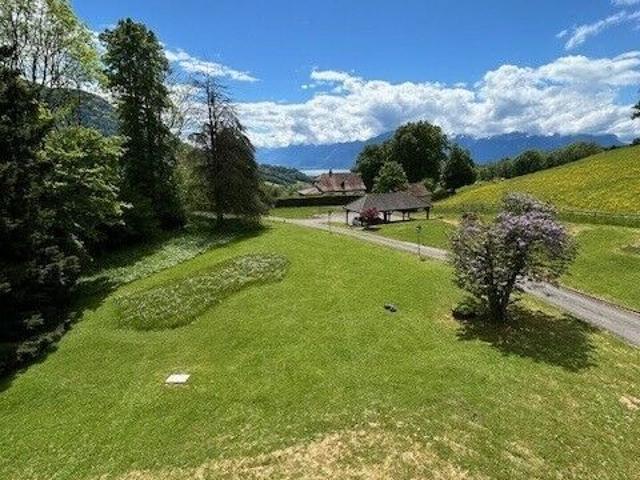 Apartment mieten in Corsier-sur-Vevey, Waadt
