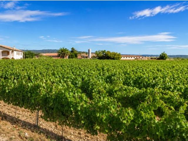 Casa en alquiler en Alt Penedès, Catalunya