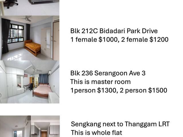 Room for rent