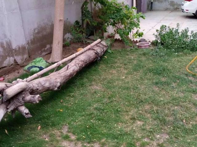 House for rent in North Waziristan, Federally Administered Tribal Areas fata