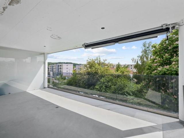 Apartment mieten in Niedergösgen, Solothurn