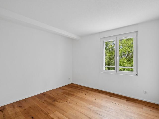 Apartment mieten in Niedergösgen, Solothurn
