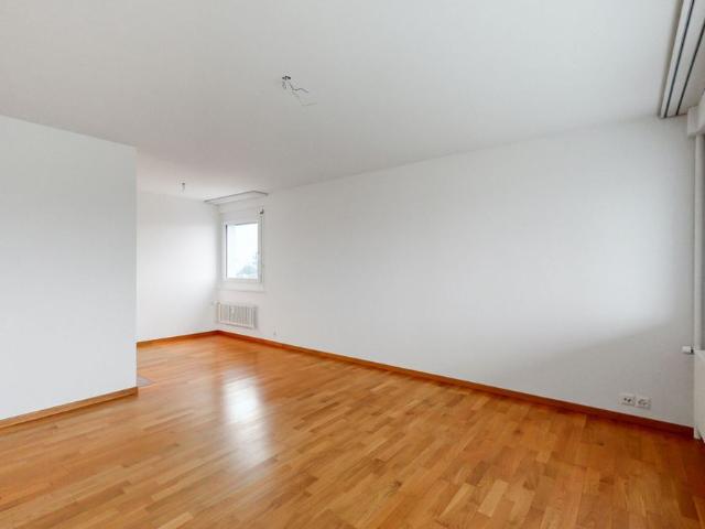 Apartment mieten in Birsfelden, Basel-Landschaft
