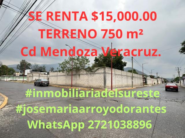 Local Comercial en renta en Camerino Z. Mendoza, Veracruz