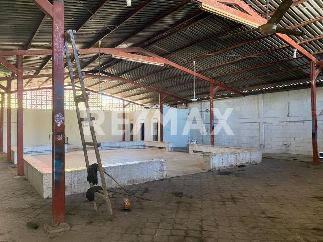 Local Comercial en renta en Montemorelos, Nuevo León
