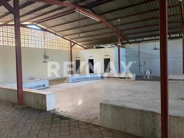 Local Comercial en renta en Montemorelos, Nuevo León