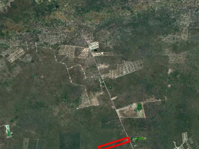 Terreno en renta en Chicxulub Pueblo, Yucatán