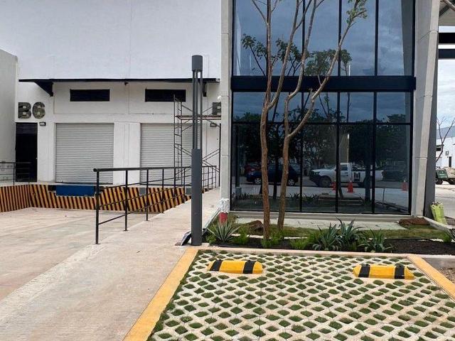 Nave Industrial en renta en Chicxulub Pueblo, Yucatán