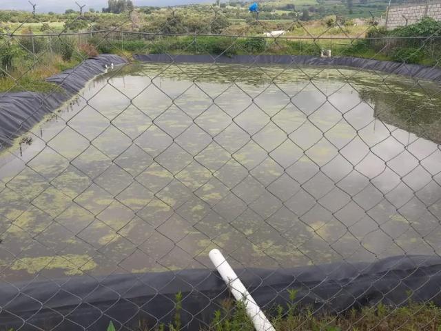 Terreno en renta en Morelos
