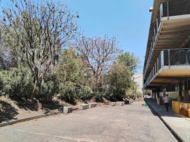 Local Comercial en renta en Tecámac, Estado de México