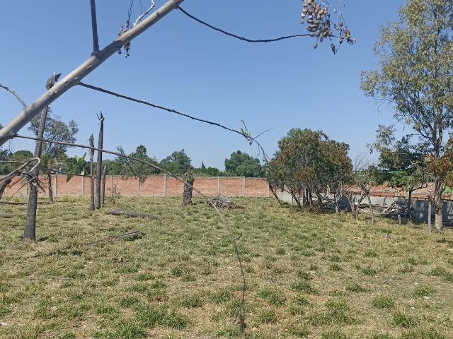 Terreno en renta en Jesús María
