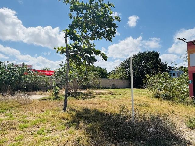 Terreno en renta en Chicxulub Pueblo, Yucatán