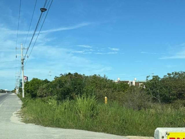 Terreno en renta en Progreso, Yucatán