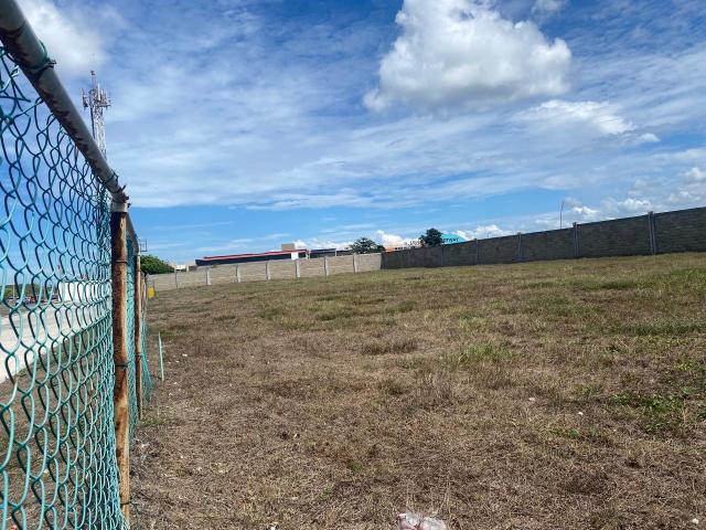 Terreno en renta en Alvarado, Veracruz