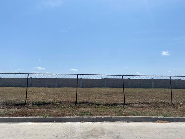 Terreno en renta en Alvarado, Veracruz