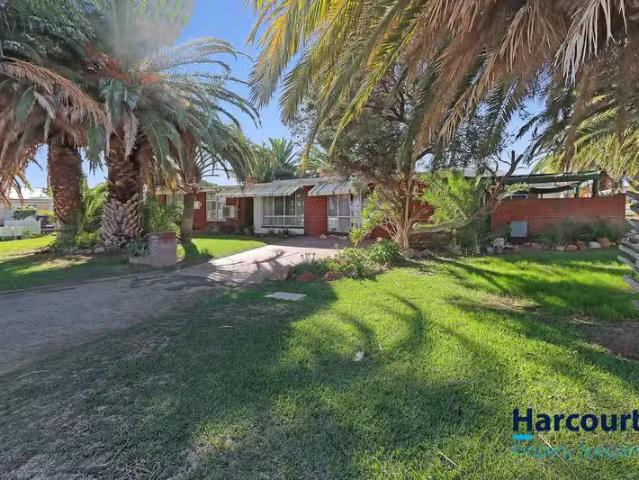 House for rent in Spearwood, Western Australia