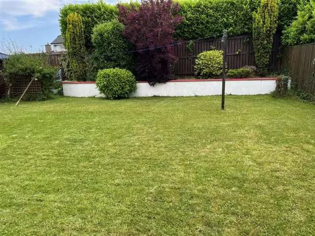 House to rent