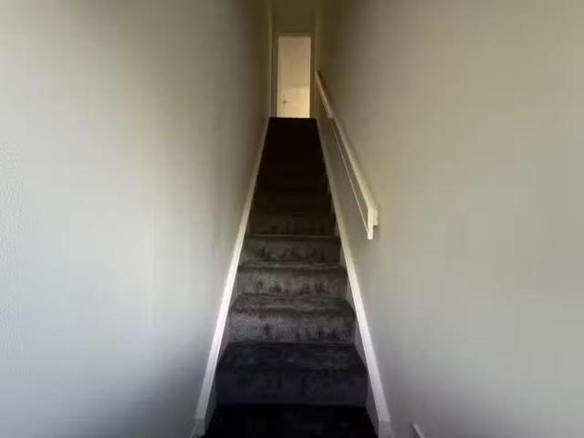 House for rent